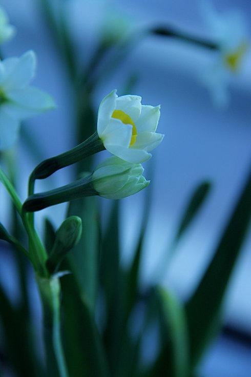 保持芬芳