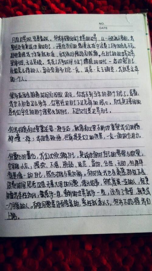 人物传记作文600字