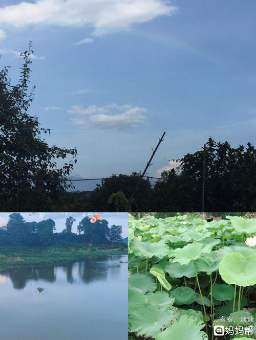 雨后的夏天