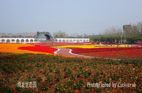 雨公园的秋季郊游