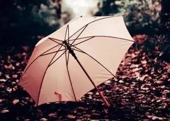 在风雨中倾斜的雨伞