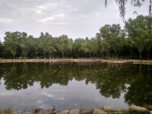 美丽的升溪湖公园