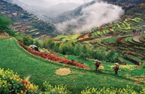 这是风景