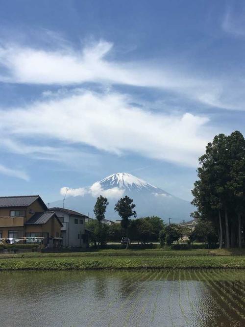 我的乡村生活