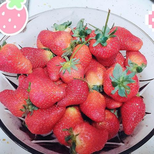 隐藏在草莓中的爱