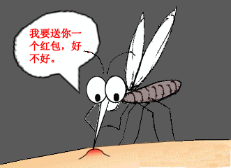 蚊子折磨