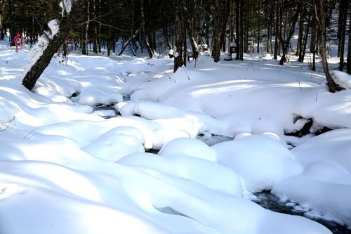 雪中​​交响曲