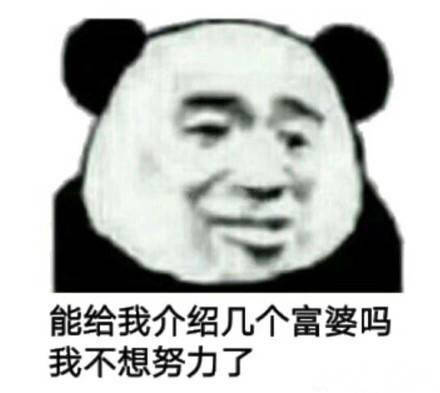 我看到了努力