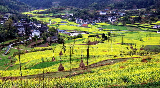 迷人的乡村风光