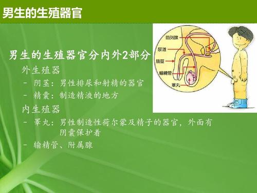 青春期演讲经验