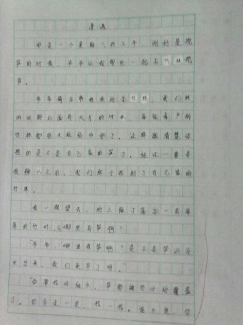 坚持主题词800字