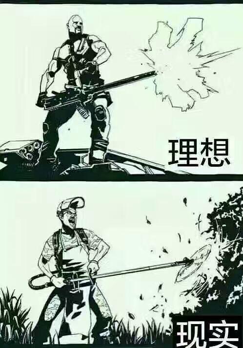 理想与现实