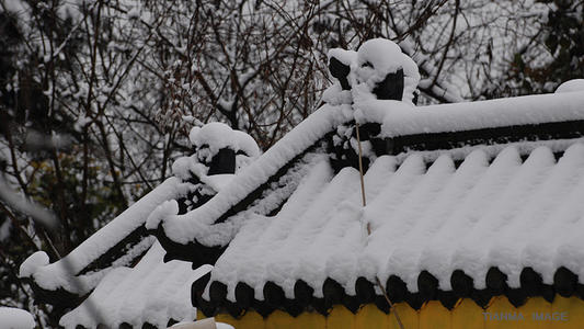 下雪的春节