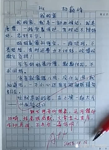 介绍我的家庭作文500字