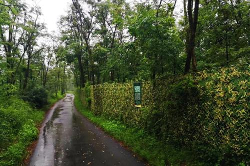 小雨和微风参观Long西