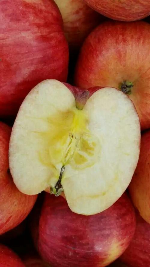 苹果爱