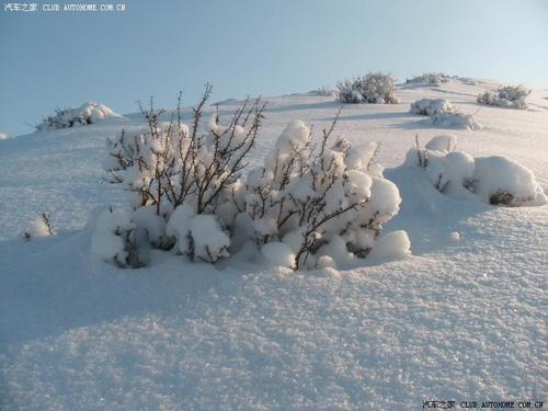 我爱你雪