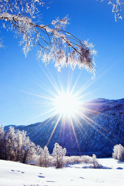 雪中​​的温暖