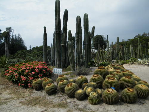 厦门植物园