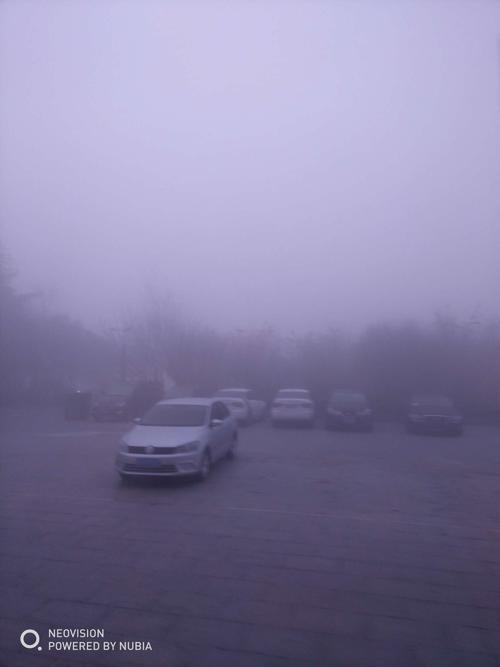 雾真的很大