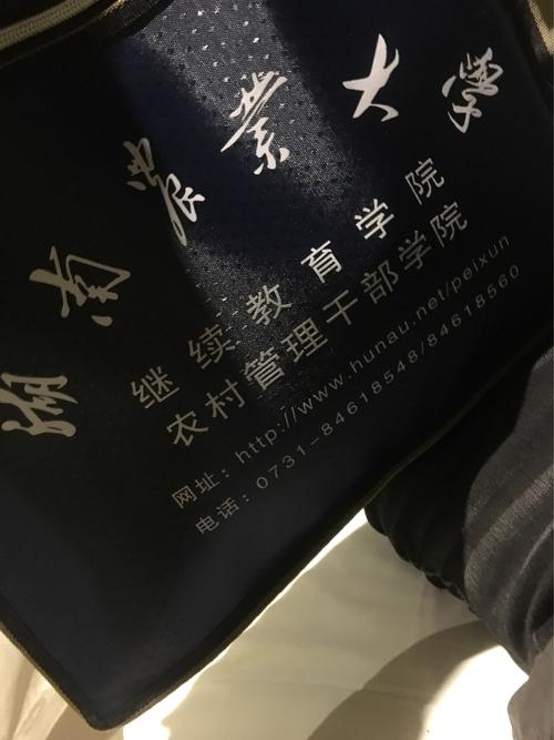 那个时候，我受益匪浅