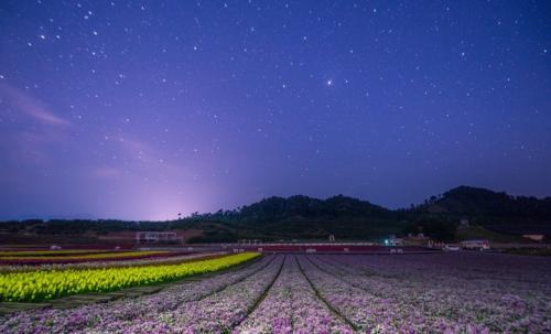 夏夜之声