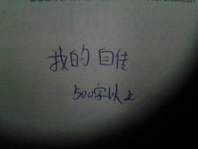 我自传的500字女孩版本