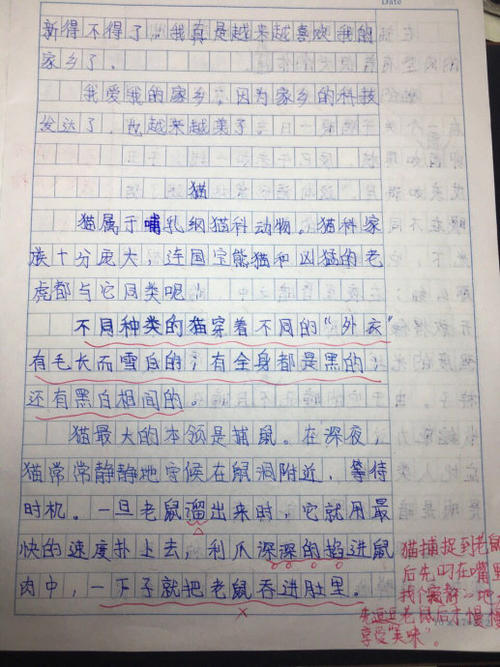 以“等待”为主题的作文