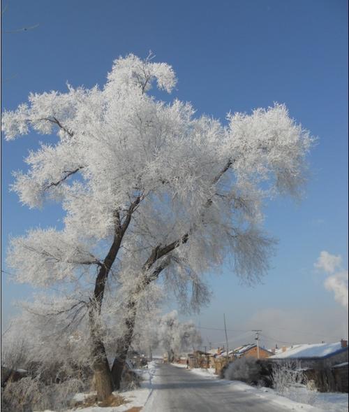 故乡的雪景