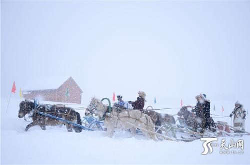 冬季假期滑雪之旅新疆