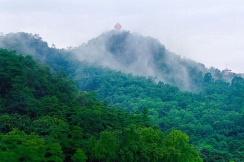 黄岐山