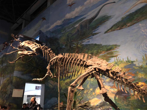 游览恐龙博物馆