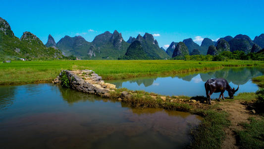 故乡的风景