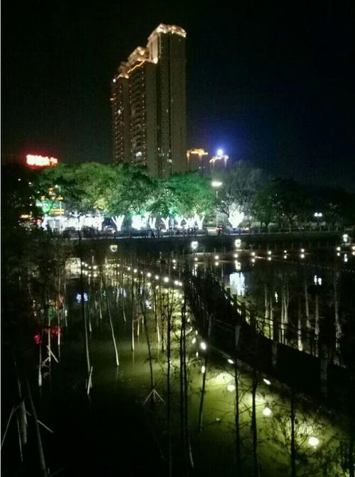 yang阳湖之夜