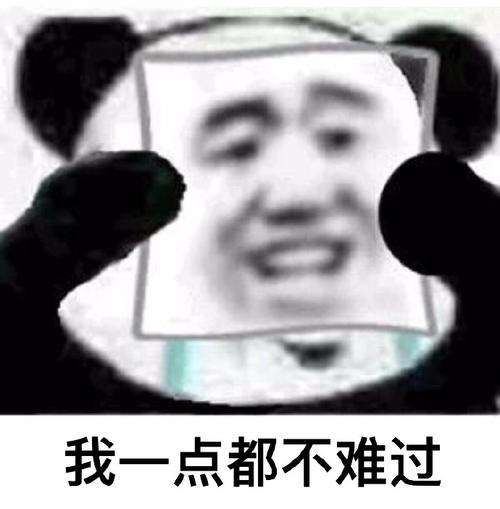 真的很棒