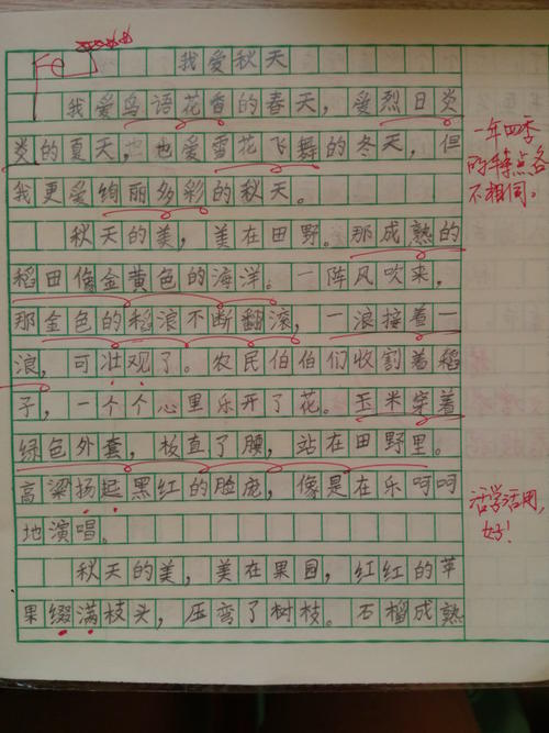 2020年春节作文600字