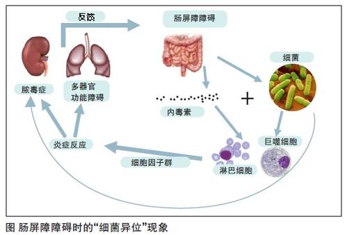 营养