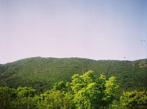 离山远吗？