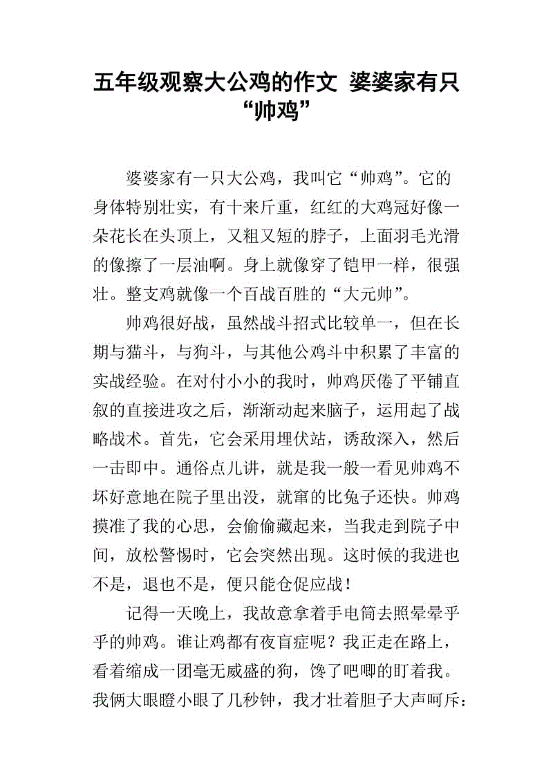 大公鸡作文300字