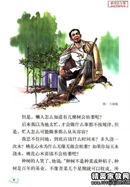 如果我是桃花心木