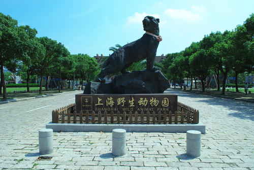 上海野生动物园一日游