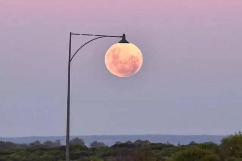 月亮和路灯