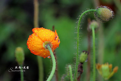 我有点下雨