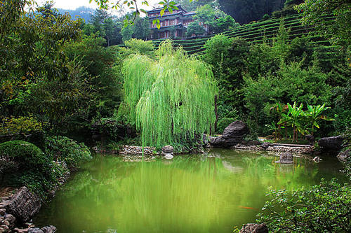 人类的新地方