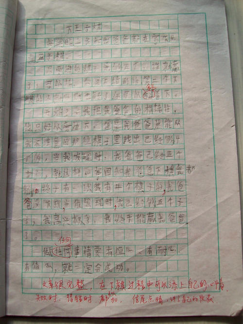 心脏敲打作文500字