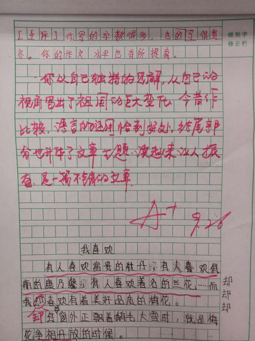 六年级作文活动