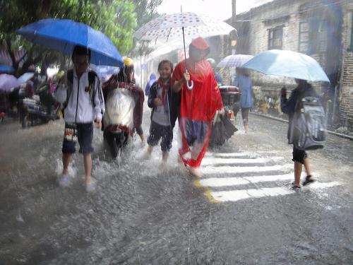 在雨中回家