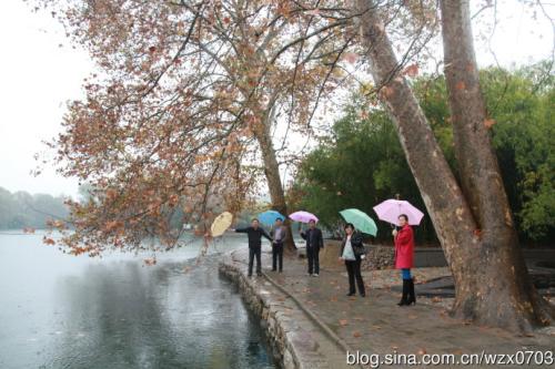 风雨中的景象