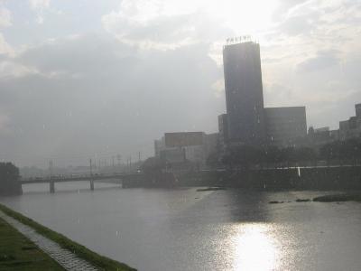 夏日的阳光雨