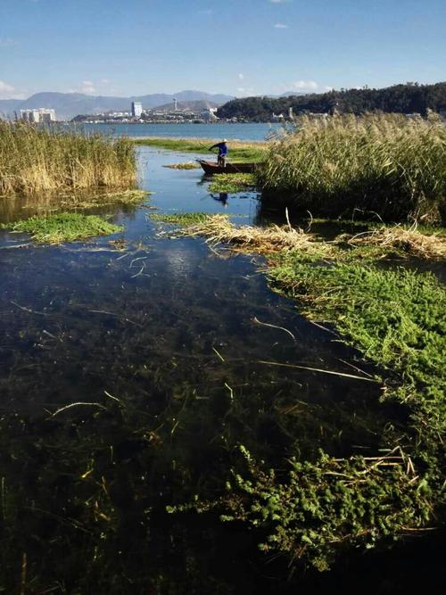 城市风光